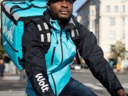 {{brizy_dc_image_alt entityId=