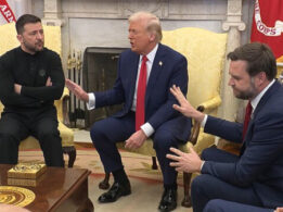 {{brizy_dc_image_alt entityId=