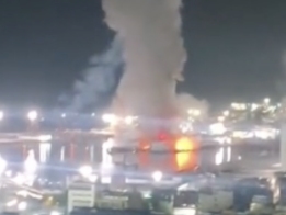 {{brizy_dc_image_alt entityId=