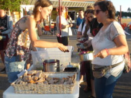 {{brizy_dc_image_alt entityId=