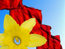 {{brizy_dc_image_alt entityId=