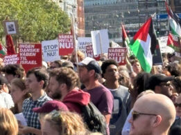 {{brizy_dc_image_alt entityId=