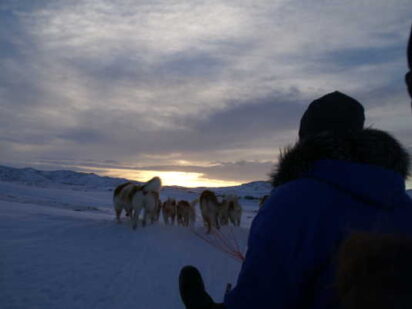 {{brizy_dc_image_alt entityId=