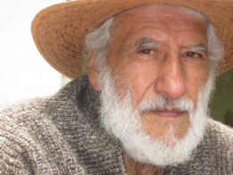 {{brizy_dc_image_alt entityId=