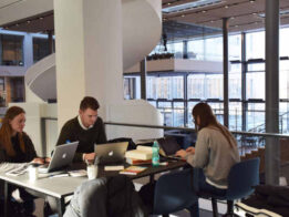 {{brizy_dc_image_alt entityId=