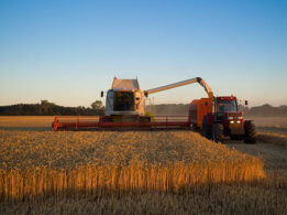 {{brizy_dc_image_alt entityId=