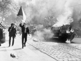 {{brizy_dc_image_alt entityId=