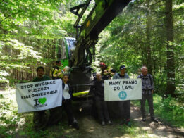 {{brizy_dc_image_alt entityId=