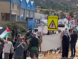 {{brizy_dc_image_alt entityId=