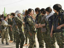 {{brizy_dc_image_alt entityId=